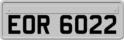 EOR6022