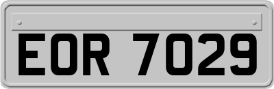 EOR7029