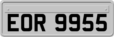 EOR9955