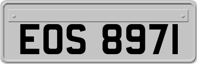 EOS8971