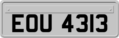 EOU4313