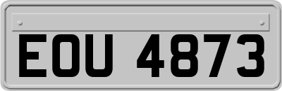 EOU4873