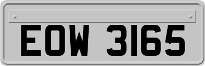 EOW3165