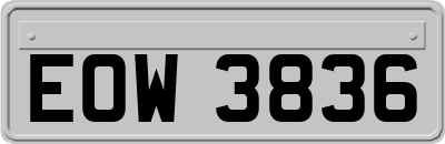 EOW3836