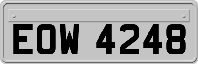 EOW4248