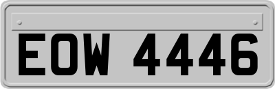 EOW4446