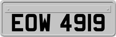 EOW4919