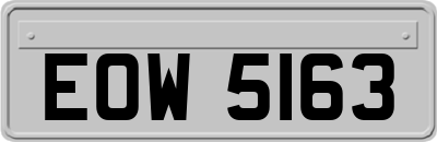 EOW5163