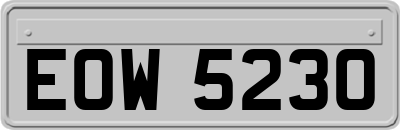 EOW5230