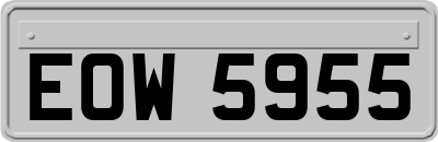 EOW5955