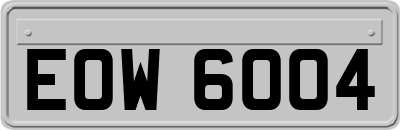 EOW6004