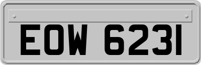 EOW6231