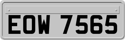 EOW7565