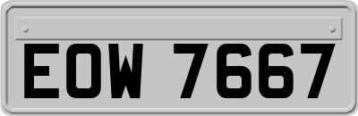 EOW7667