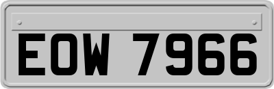 EOW7966