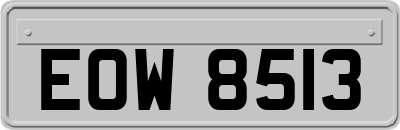 EOW8513