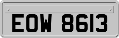 EOW8613