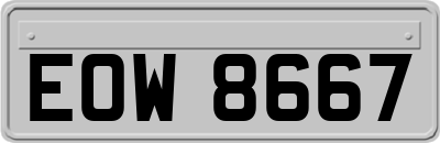 EOW8667