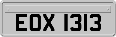 EOX1313