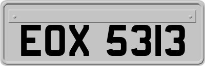 EOX5313