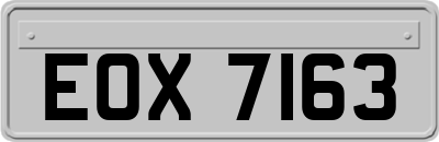 EOX7163