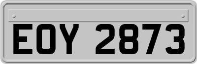EOY2873