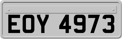EOY4973