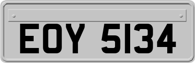 EOY5134