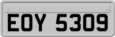 EOY5309