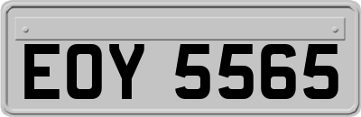 EOY5565