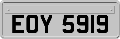 EOY5919