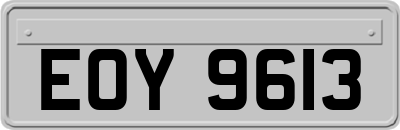 EOY9613