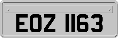 EOZ1163
