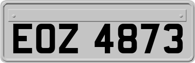EOZ4873
