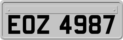 EOZ4987