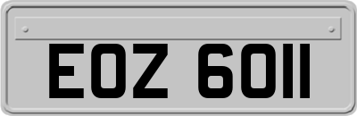 EOZ6011