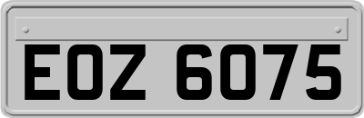 EOZ6075