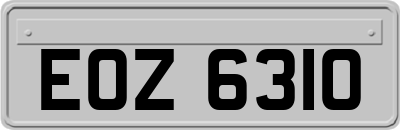 EOZ6310