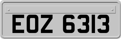 EOZ6313