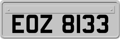 EOZ8133