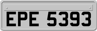 EPE5393