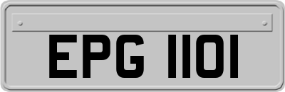 EPG1101