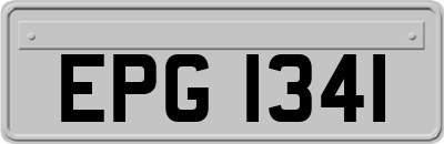 EPG1341