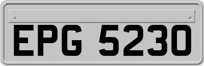 EPG5230