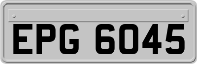 EPG6045