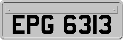 EPG6313