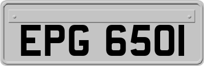 EPG6501