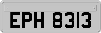EPH8313