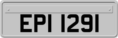EPI1291