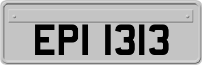EPI1313